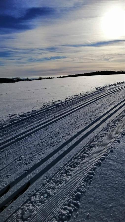 Ubytování Vlachovice u Nového Města na Moravě Nove Mesto na Morave Exteriér fotografie